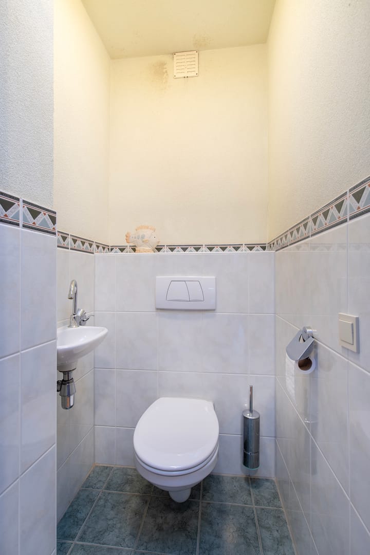 Foto 4 van de Papaver 3