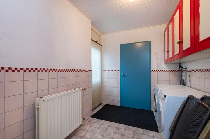 Foto 14 van de Papaver 3