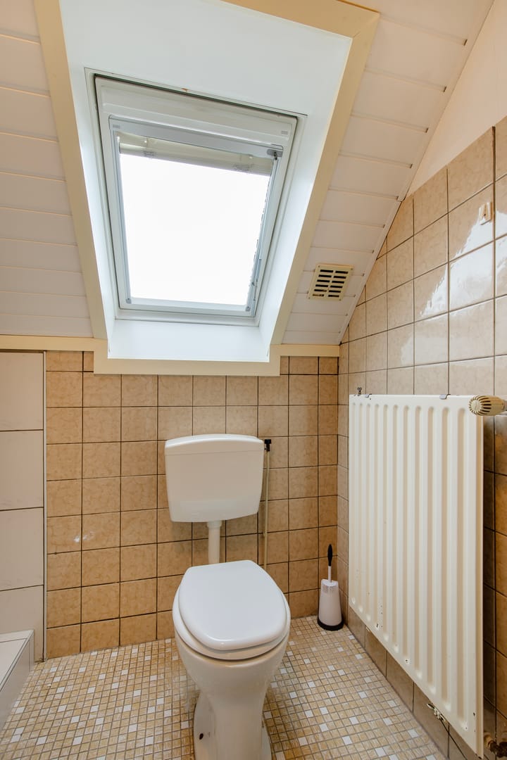 Foto 19 van de Papaver 3