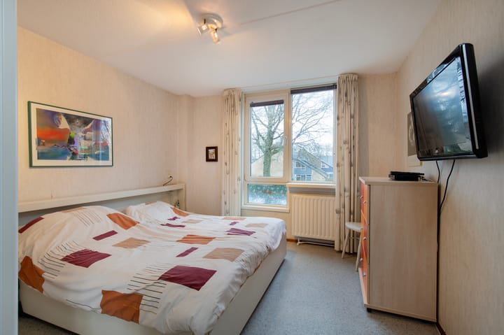 Foto 22 van de Papaver 3