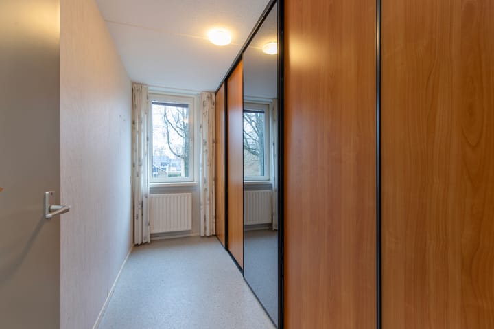 Foto 24 van de Papaver 3