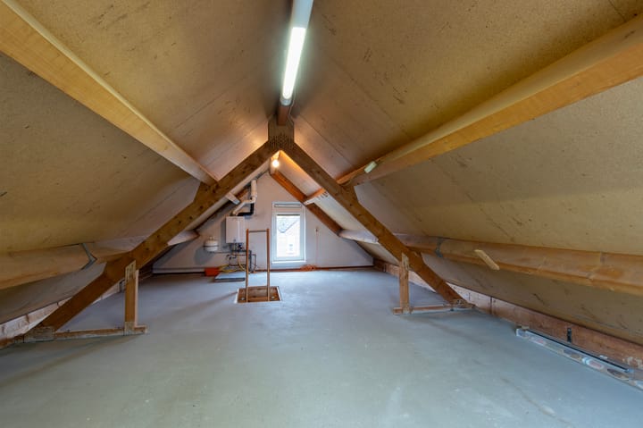 Foto 25 van de Papaver 3