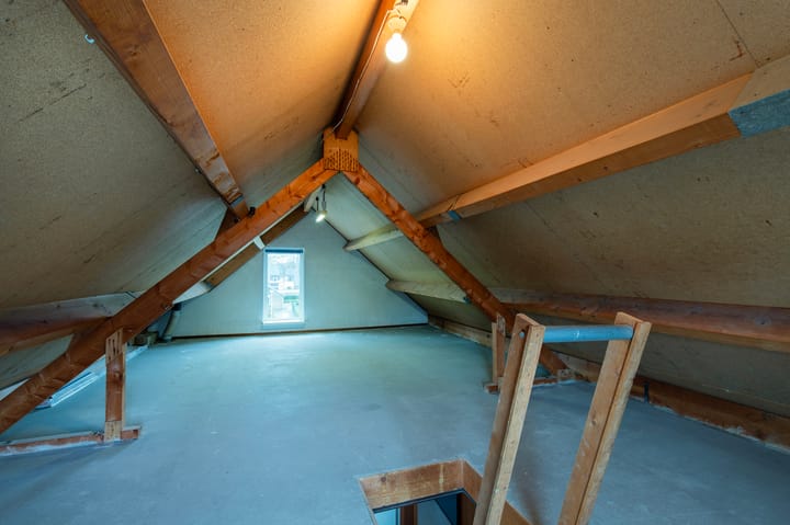 Foto 26 van de Papaver 3