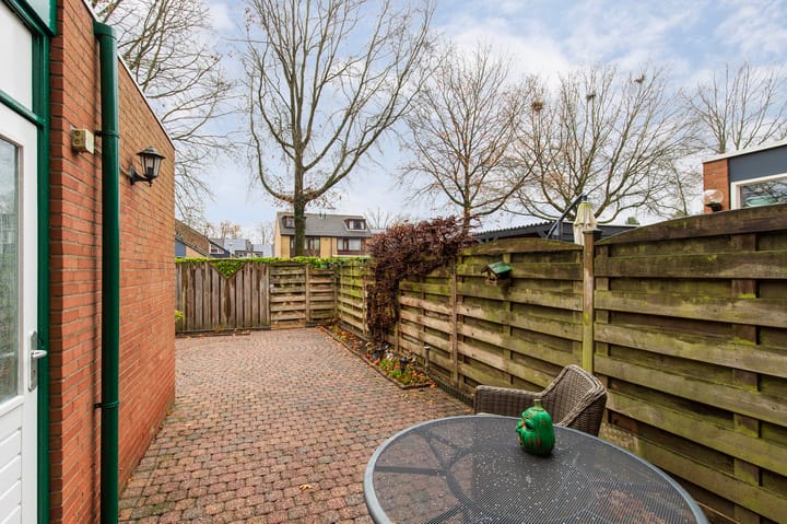 Foto 28 van de Papaver 3