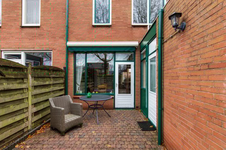 Foto 30 van de Papaver 3