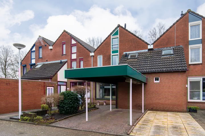 Foto 35 van de Papaver 3