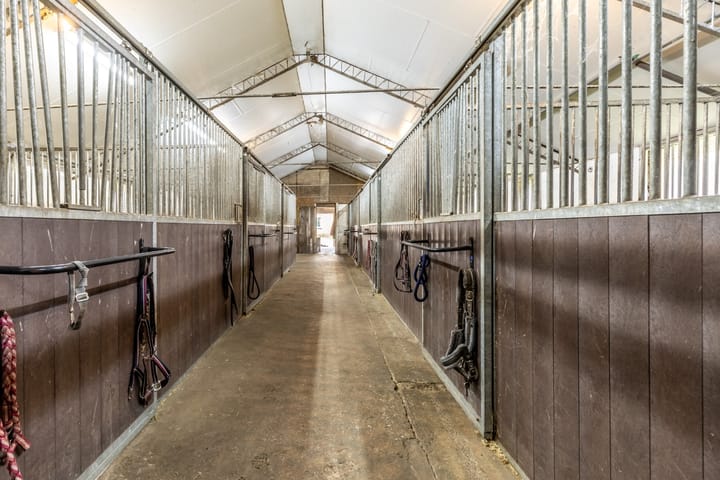 Foto 53 van Sprundelsebaan 116