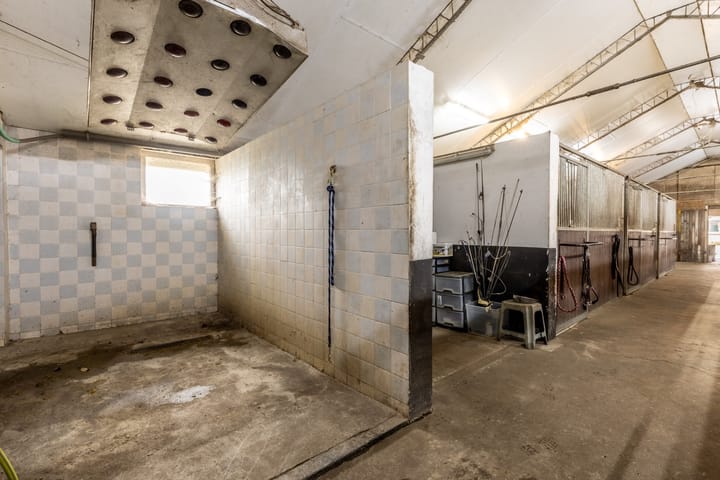 Foto 54 van Sprundelsebaan 116