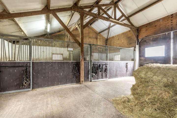 Foto 58 van Sprundelsebaan 116