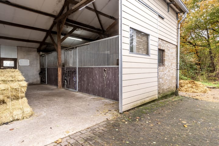 Foto 60 van Sprundelsebaan 116