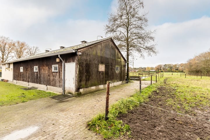 Foto 62 van Sprundelsebaan 116