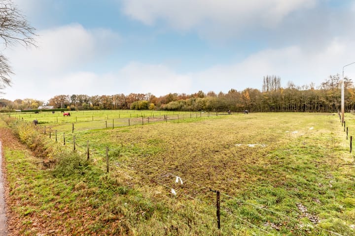 Foto 69 van Sprundelsebaan 116