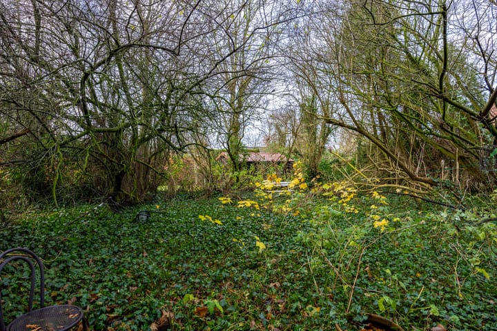 Foto 34 van Jodengang 2