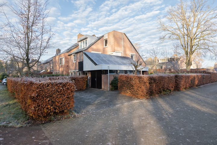 Foto 2 van Treublaan 18