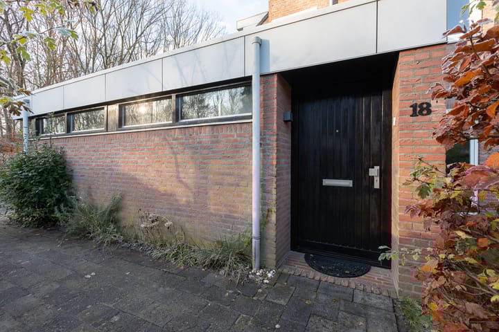 Foto 5 van Treublaan 18