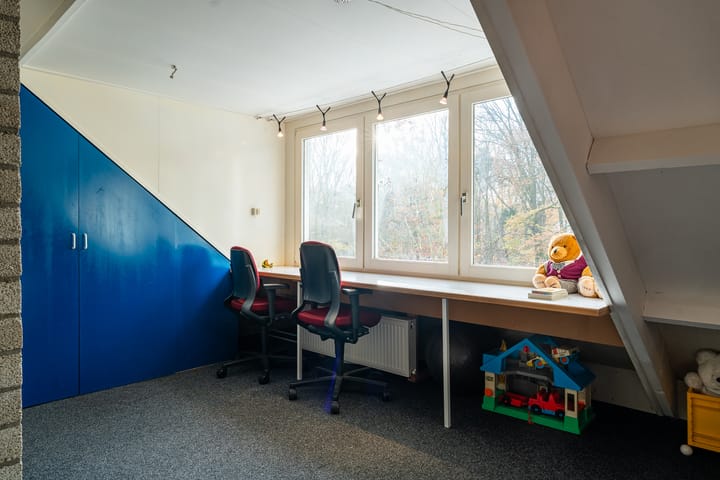 Foto 50 van Treublaan 18