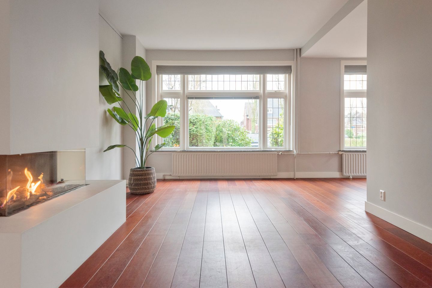 Foto 10 van Richard Holplein 8