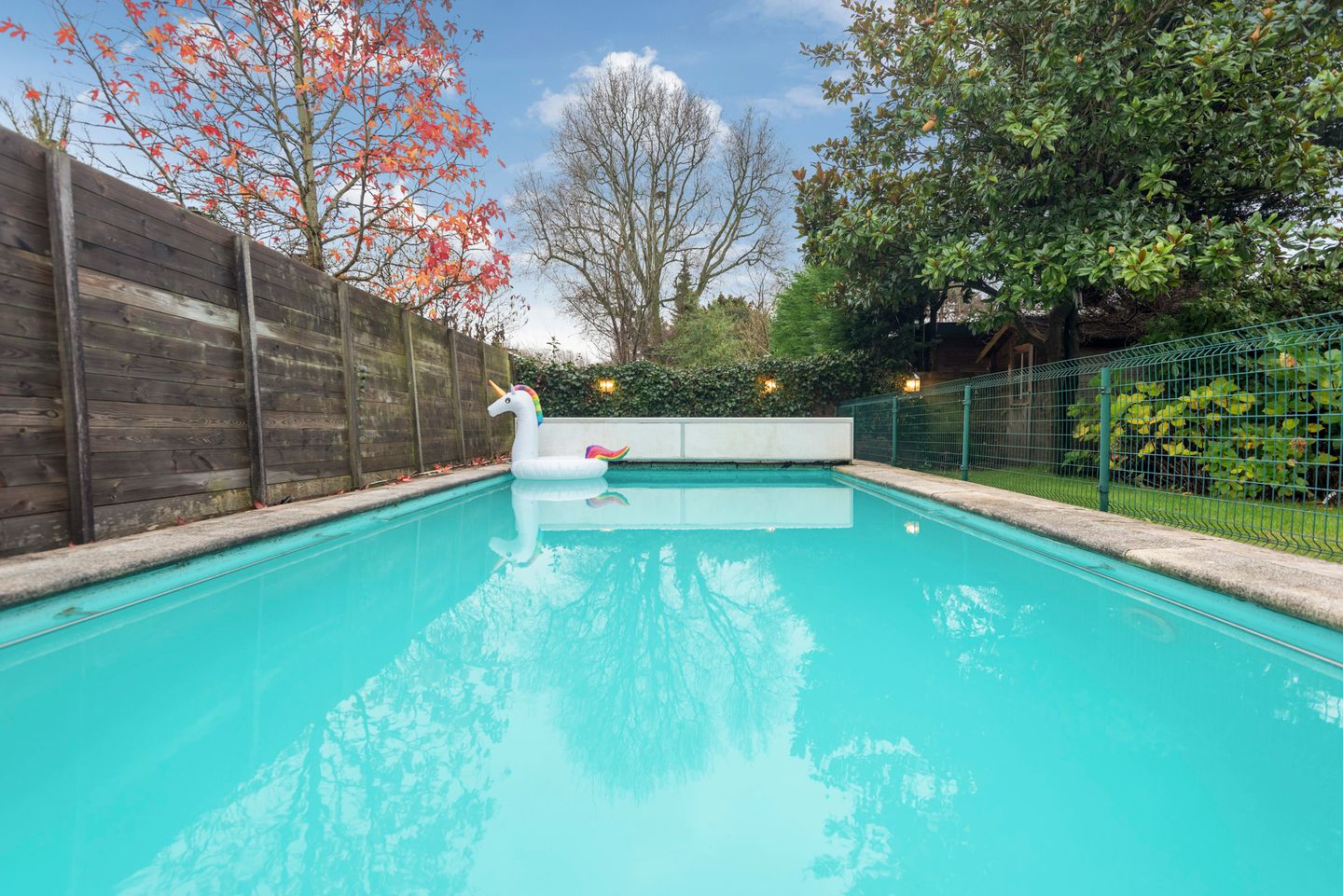 Foto 35 van Richard Holplein 8