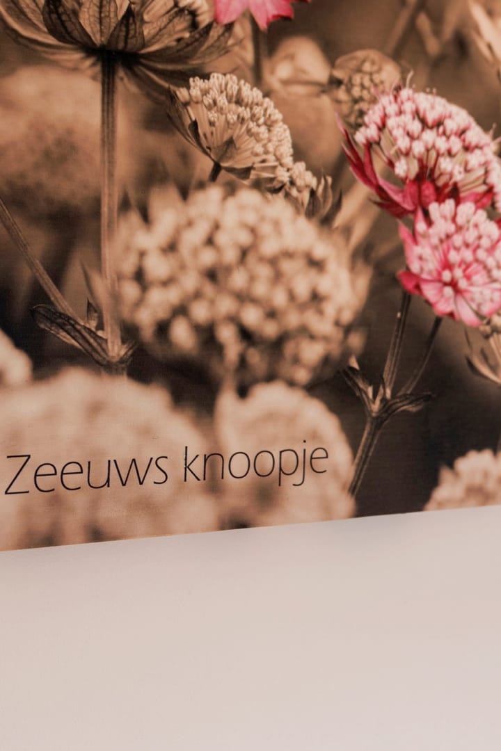 Photo 10 of Zuiderduin 60-1