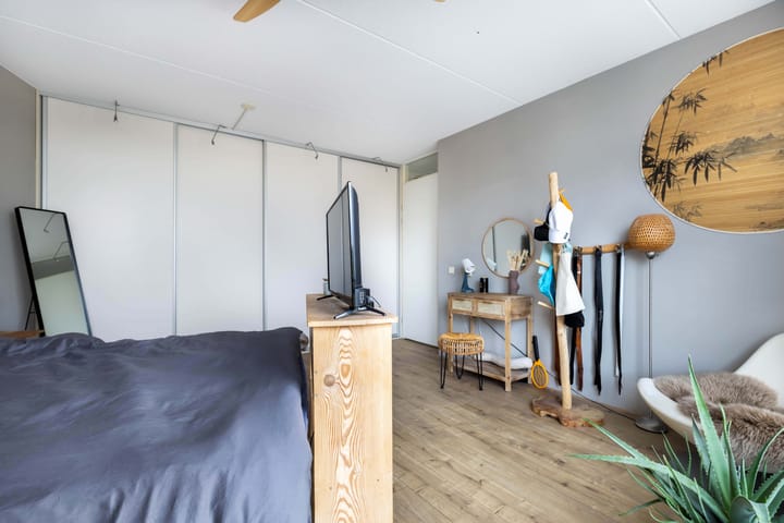 Foto 25 van Vuurvlinder 26