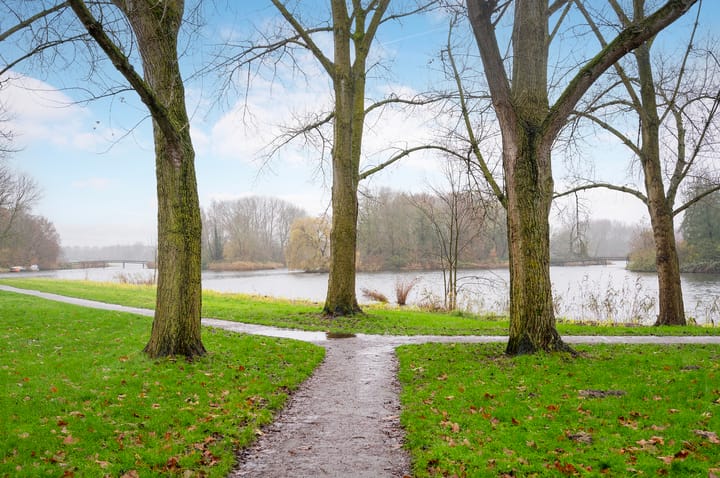 Foto 33 van Krammerstraat 41