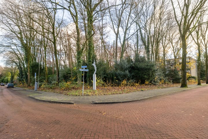 Foto 25 van Sweelincklaan 29