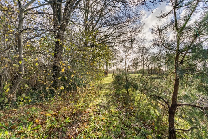 Foto 55 van Leggeloo 38