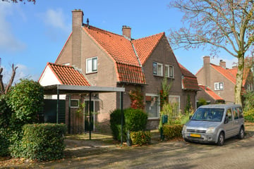 Esdoornlaan thumbnail