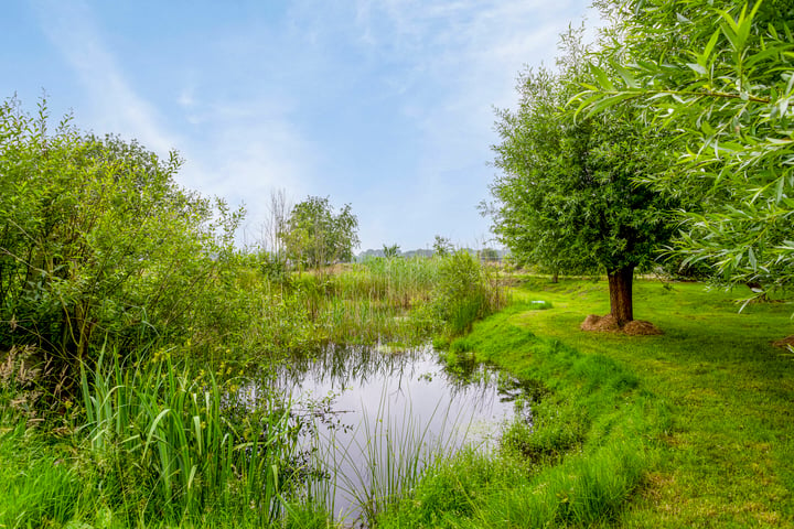 Bekijk foto 42 van Zuideropgaande 149