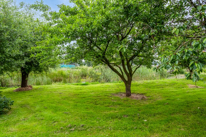 Foto 45 van Zuideropgaande 149