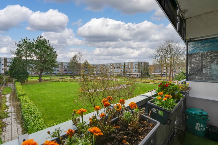 Foto 12 van Achtersteven 42