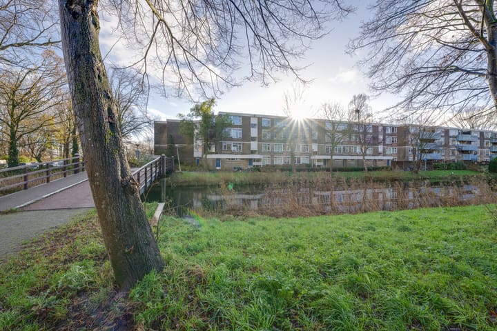 Foto 38 van Achtersteven 42