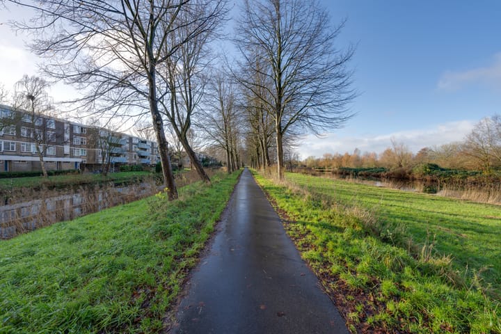 Foto 42 van Achtersteven 42