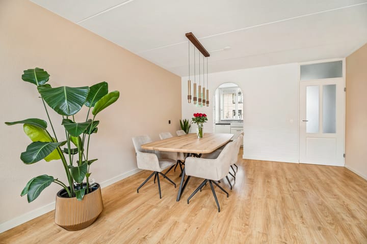 Foto 6 van Kopervlinder 18