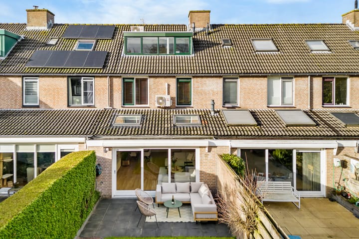 Foto 25 van Kopervlinder 18