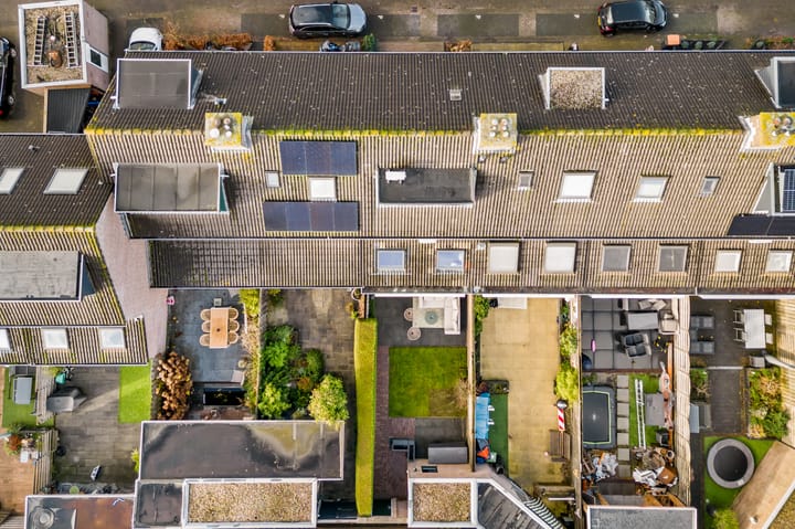 Foto 26 van Kopervlinder 18