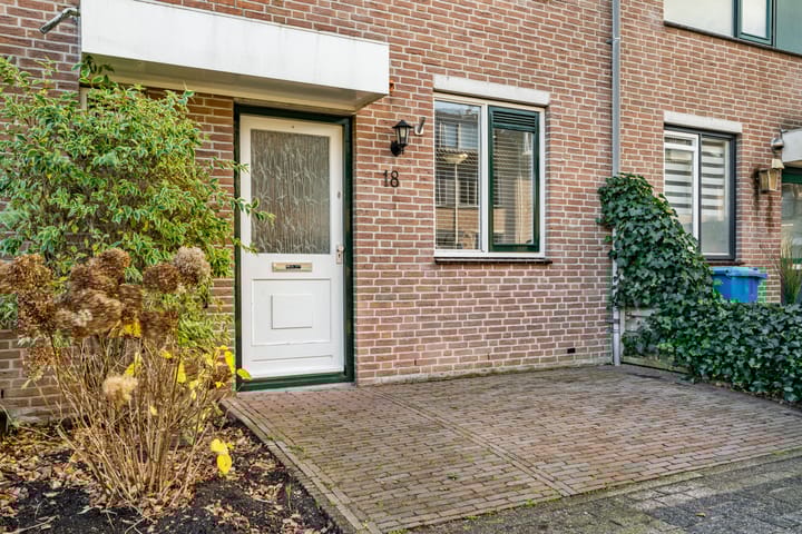 Foto 27 van Kopervlinder 18