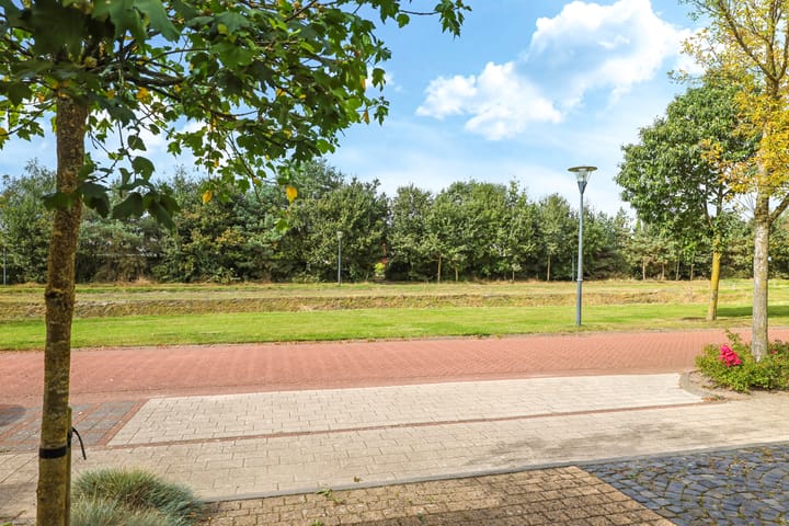 Foto 69 van Grenswal 17