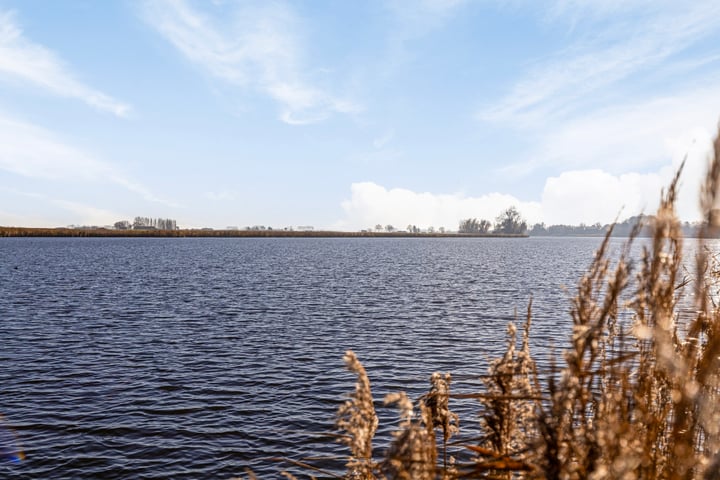 Bekijk foto 3 van Bernard Zweerslaan 15