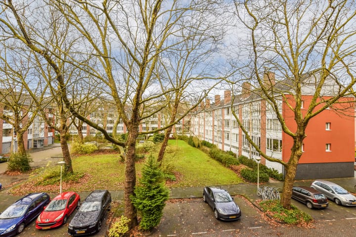 Photo 20 of Tongelaer 10-2