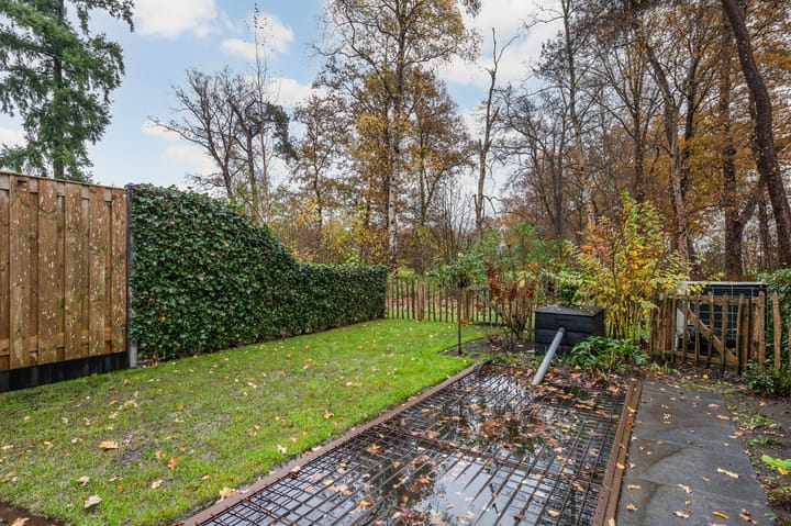 Foto 29 van Schoolderserf 2