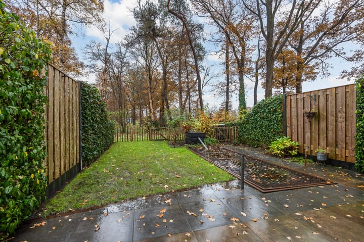 Foto 31 van Schoolderserf 2