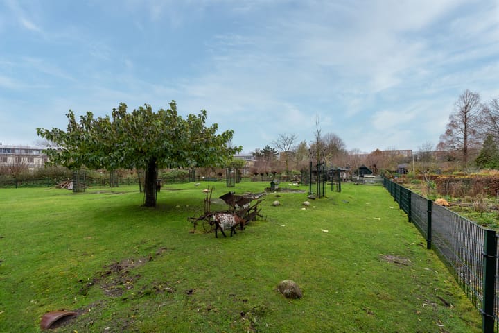 Foto 32 van Aartsbisschop Romerostraat 299