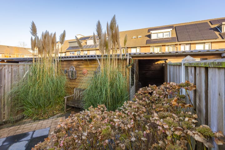 Foto 31 van Brederostraat 22