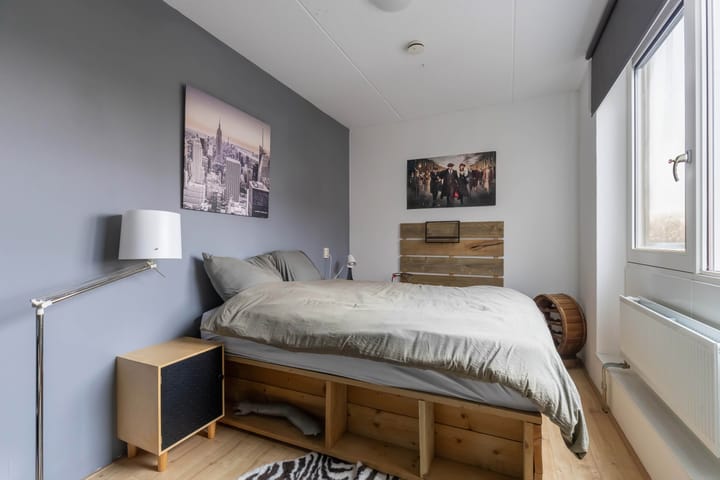 Foto 30 van Vuurvlinder 26