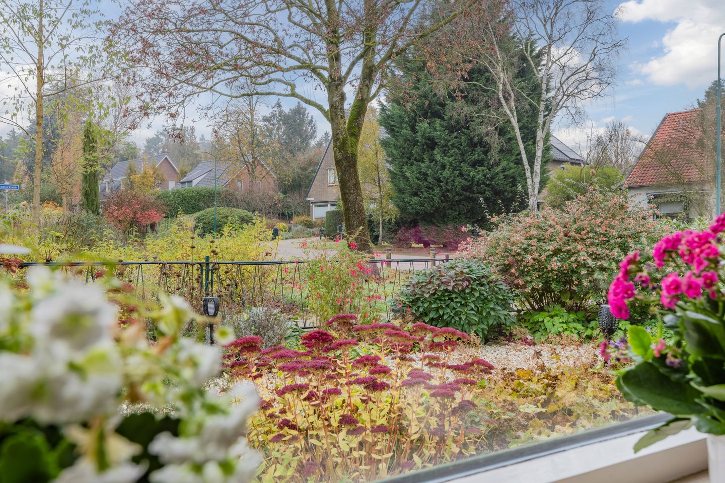 Foto 34 van M.C.Verloopweg 19