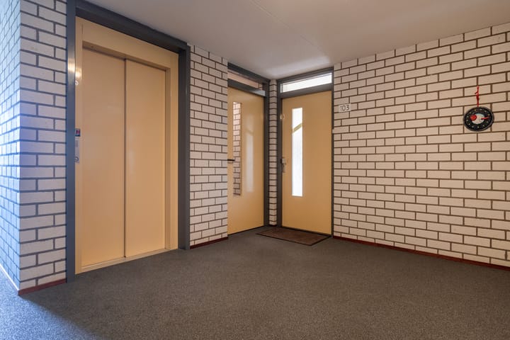 Foto 7 van Broekmorgen 103