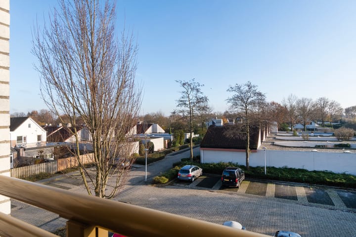 Foto 18 van Broekmorgen 103