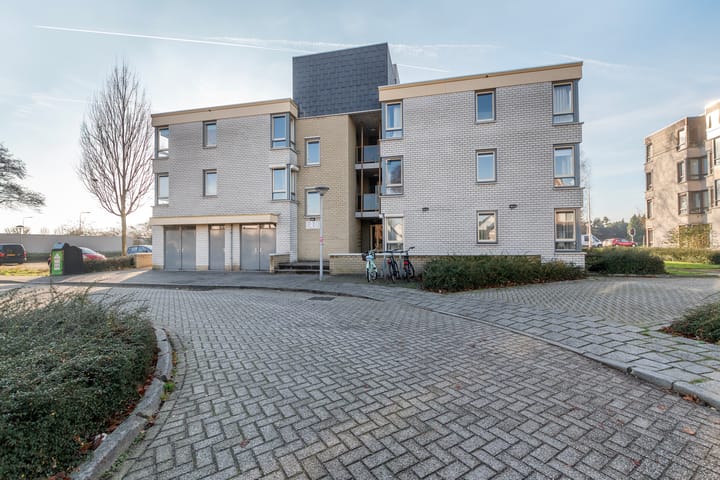 Foto 29 van Broekmorgen 103