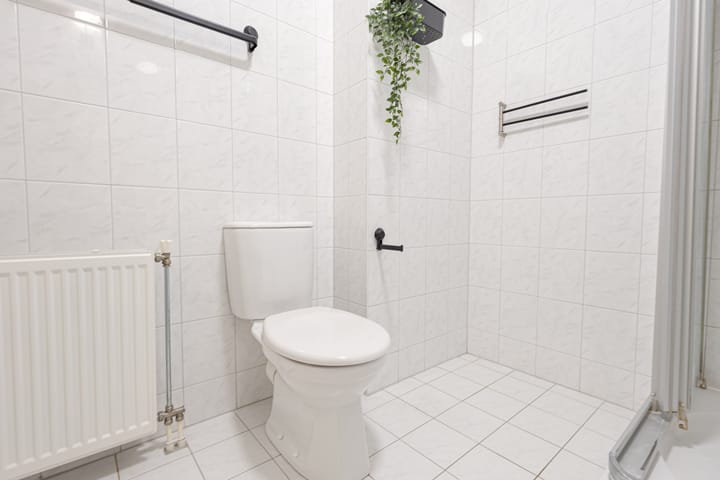 Foto 35 van Valeriaan 27